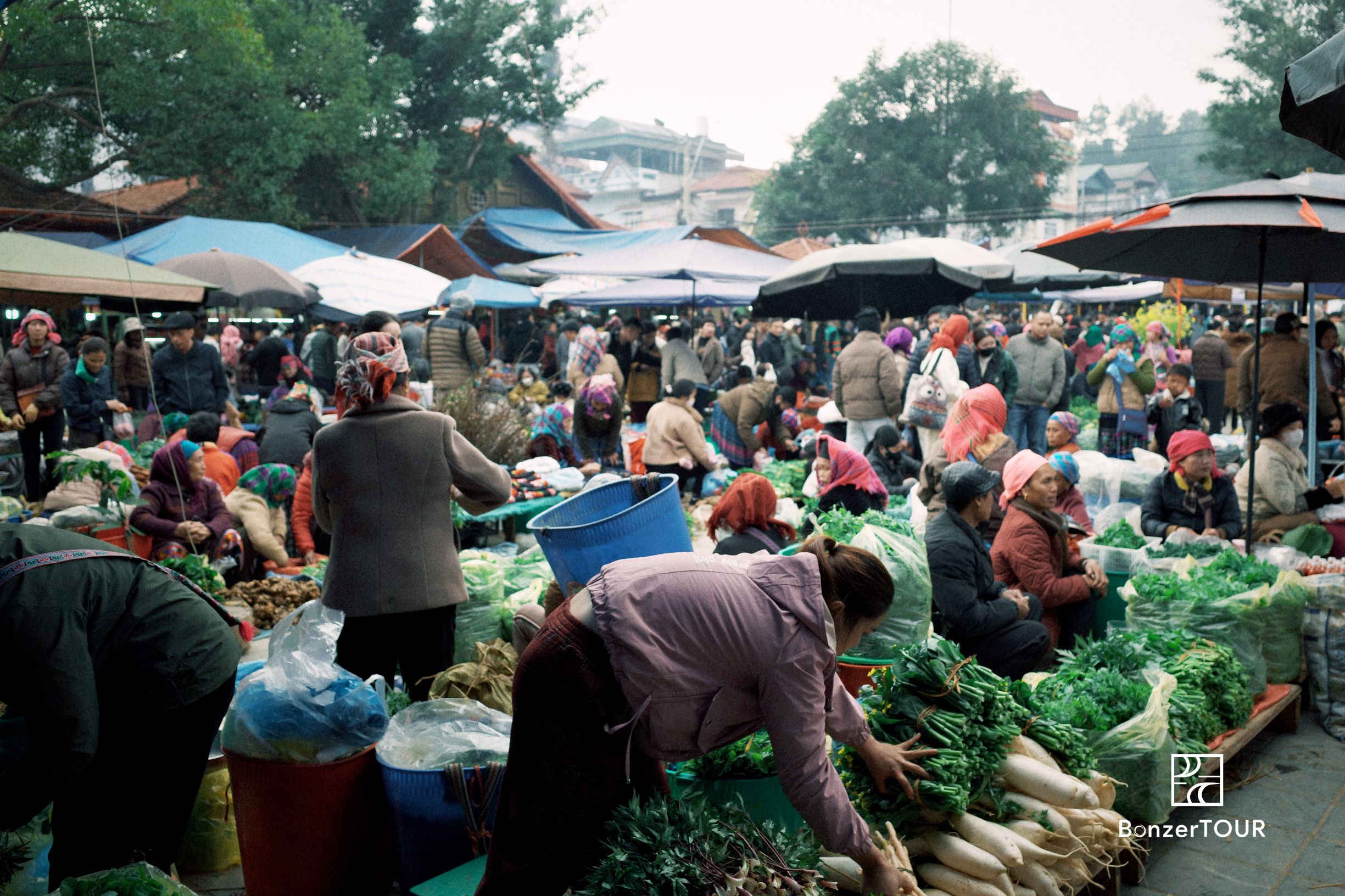 Sapa and Bac Ha Travel from Hanoi with overnight trains | Depart on every Thursday evening