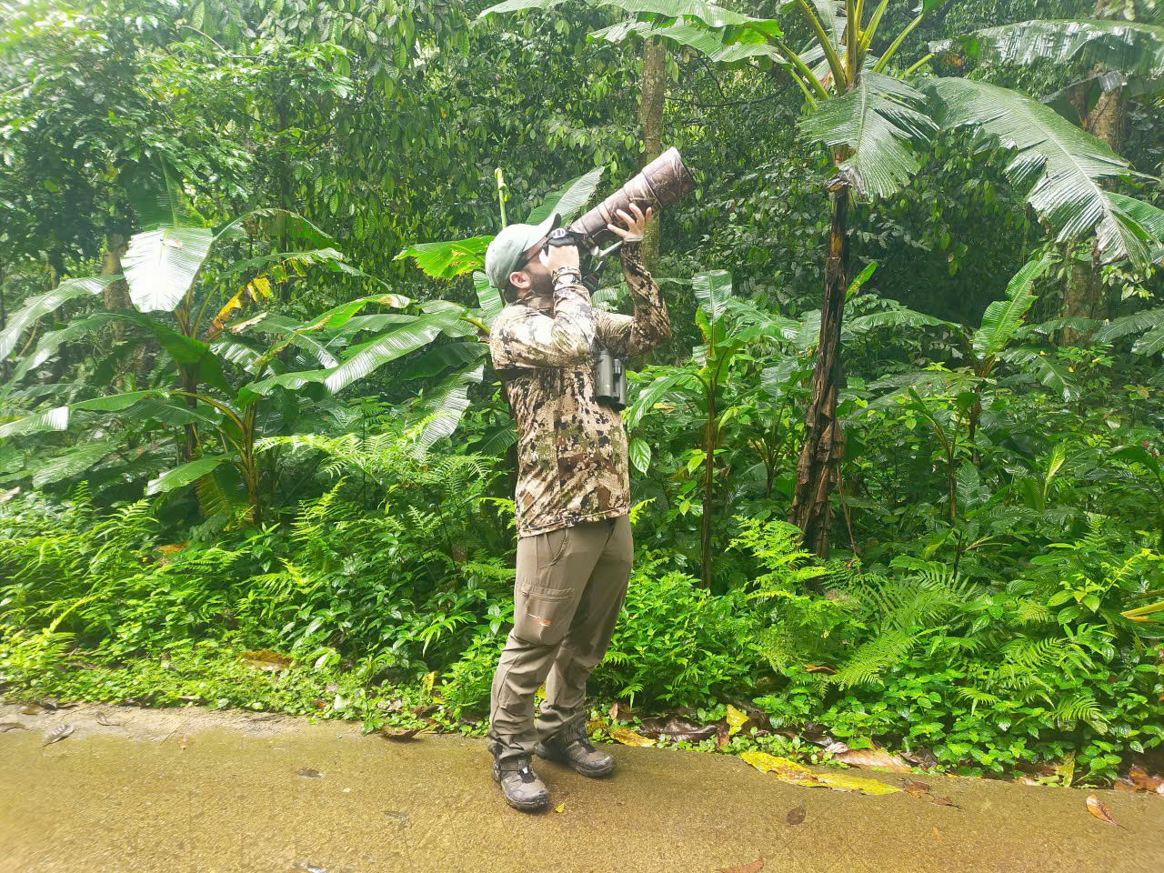Bird Watching Day Tour from Hanoi - Cuc Phuong National Park