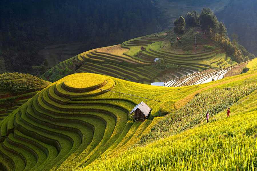  Northern Vietnam: High Ridges & Heritage Valleys
