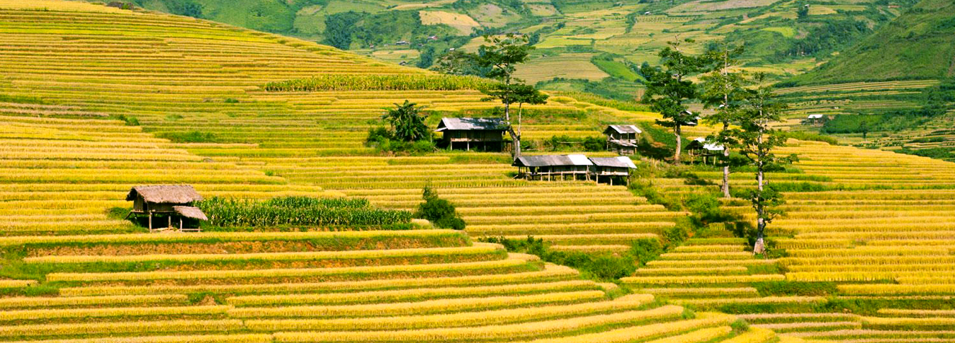  Northern Vietnam: High Ridges & Heritage Valleys