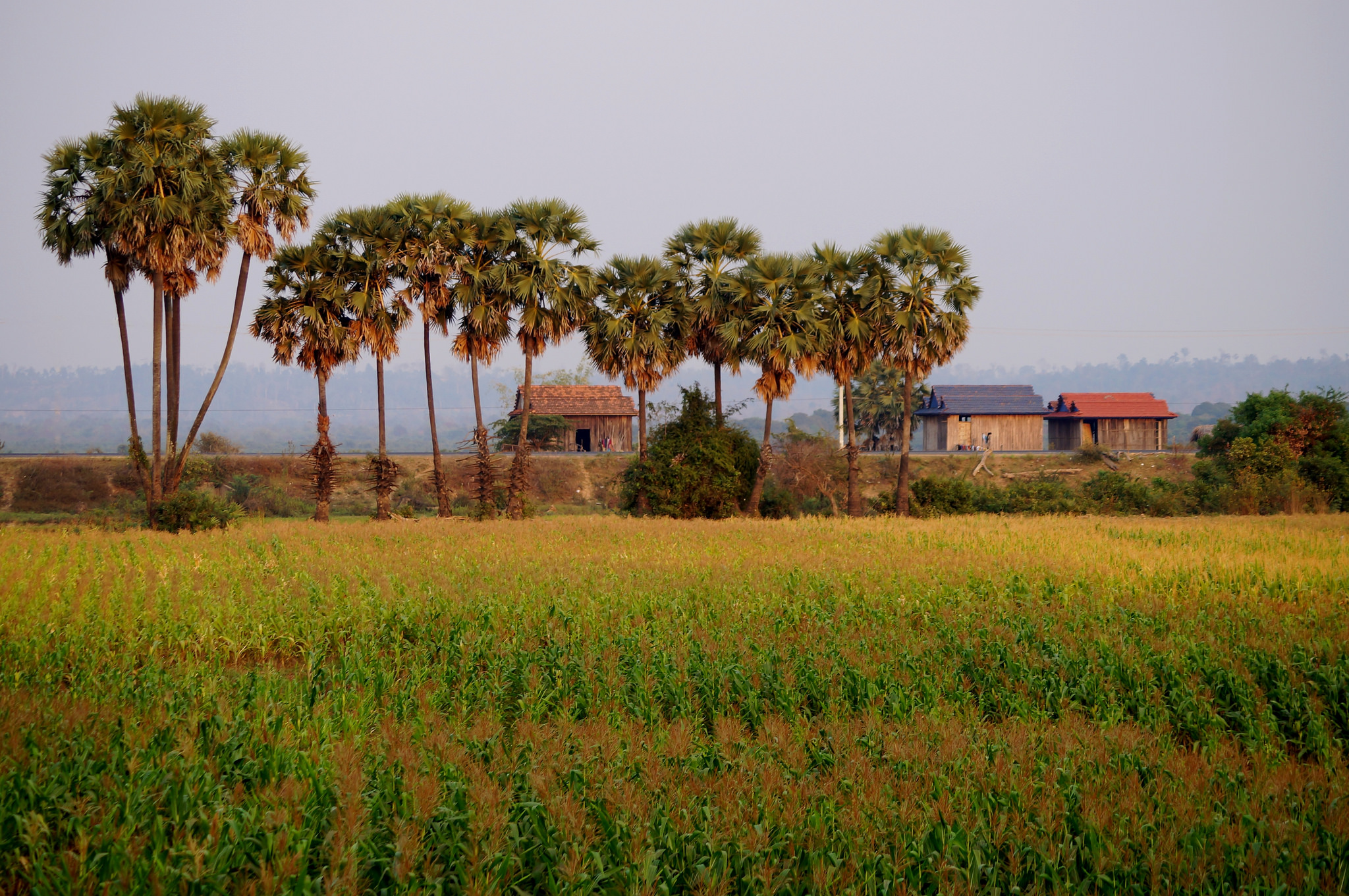 Cycling in the south Cambodia 5 day Package