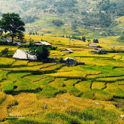 15 Day Cambodia & Vietnam Tour Package 15 Day Cambodia & Vietnam Tour Package