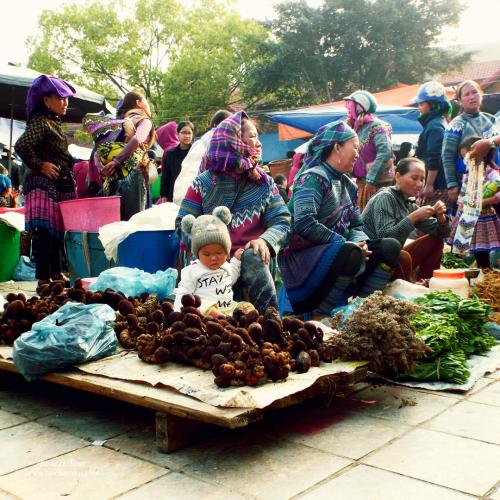 Unveil Vietnam’s Charms Unveil Vietnam’s Charms