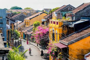 Vietnam Essense and Icon