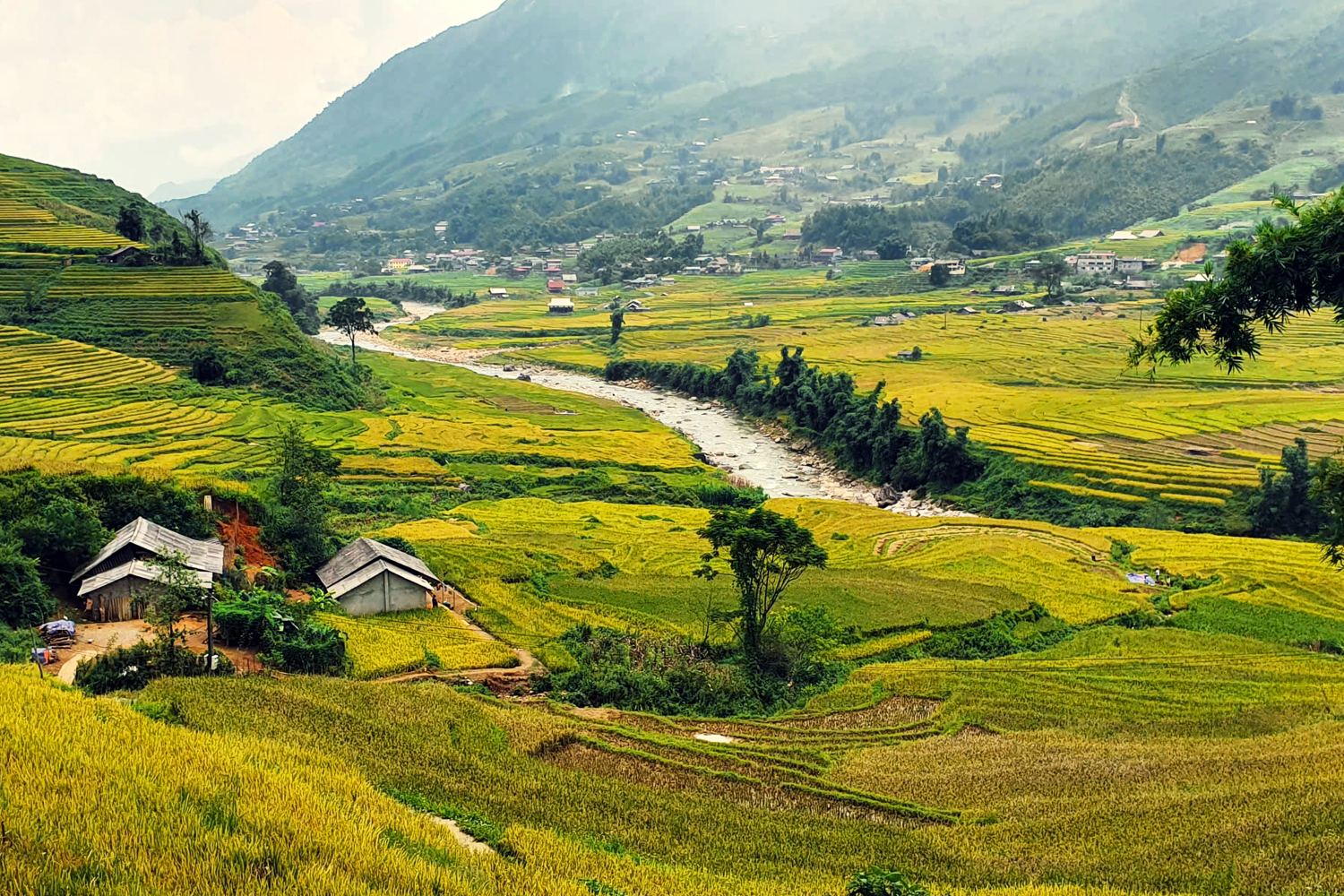 Sapa
