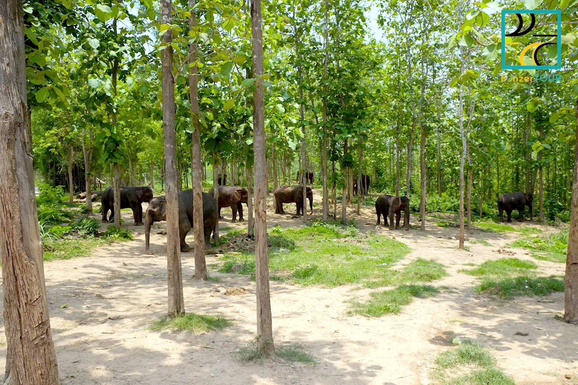 Mandalao-elephant-camp-luang-prabang