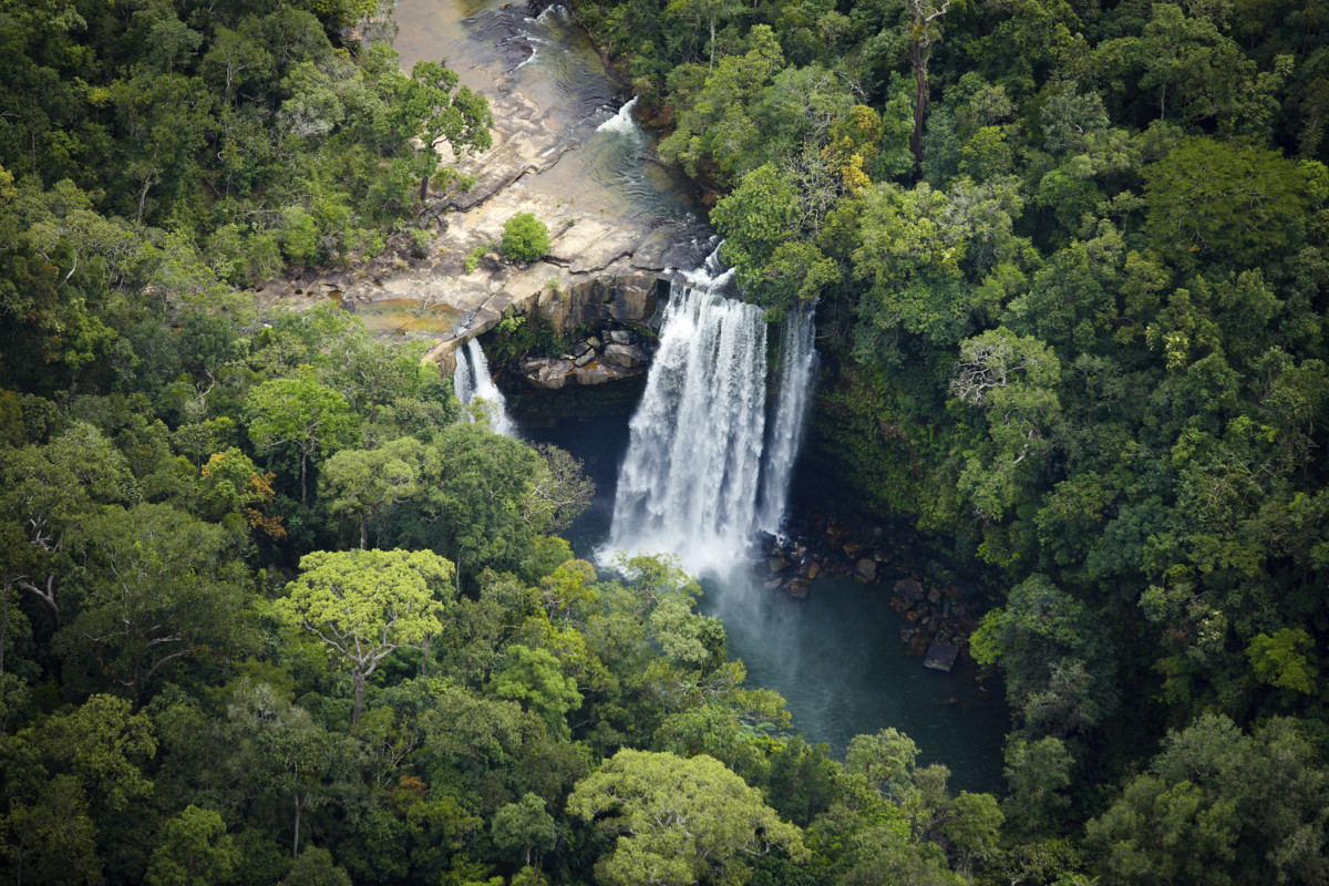 cardamom-mountain-trek-cambodia