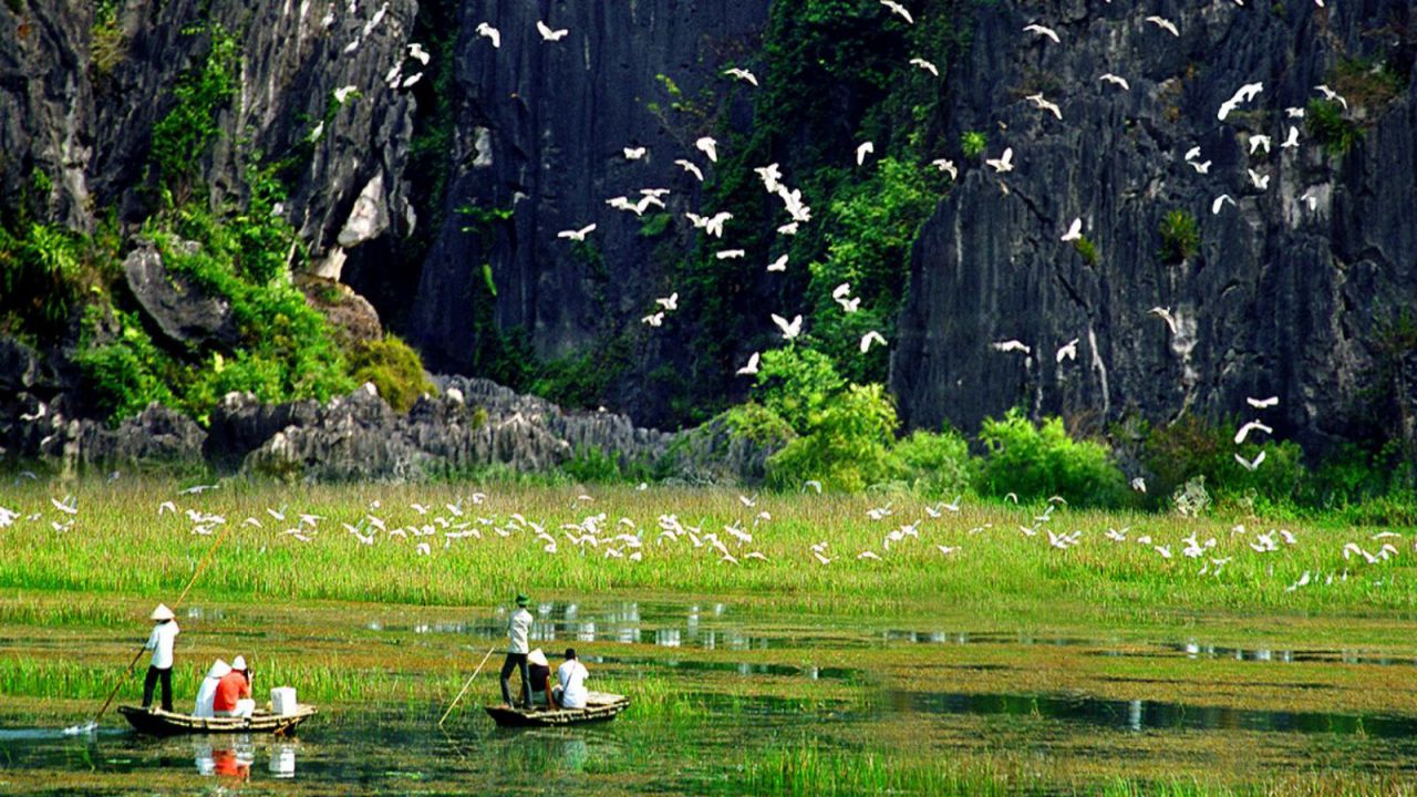 Indochina bird watching 30 days