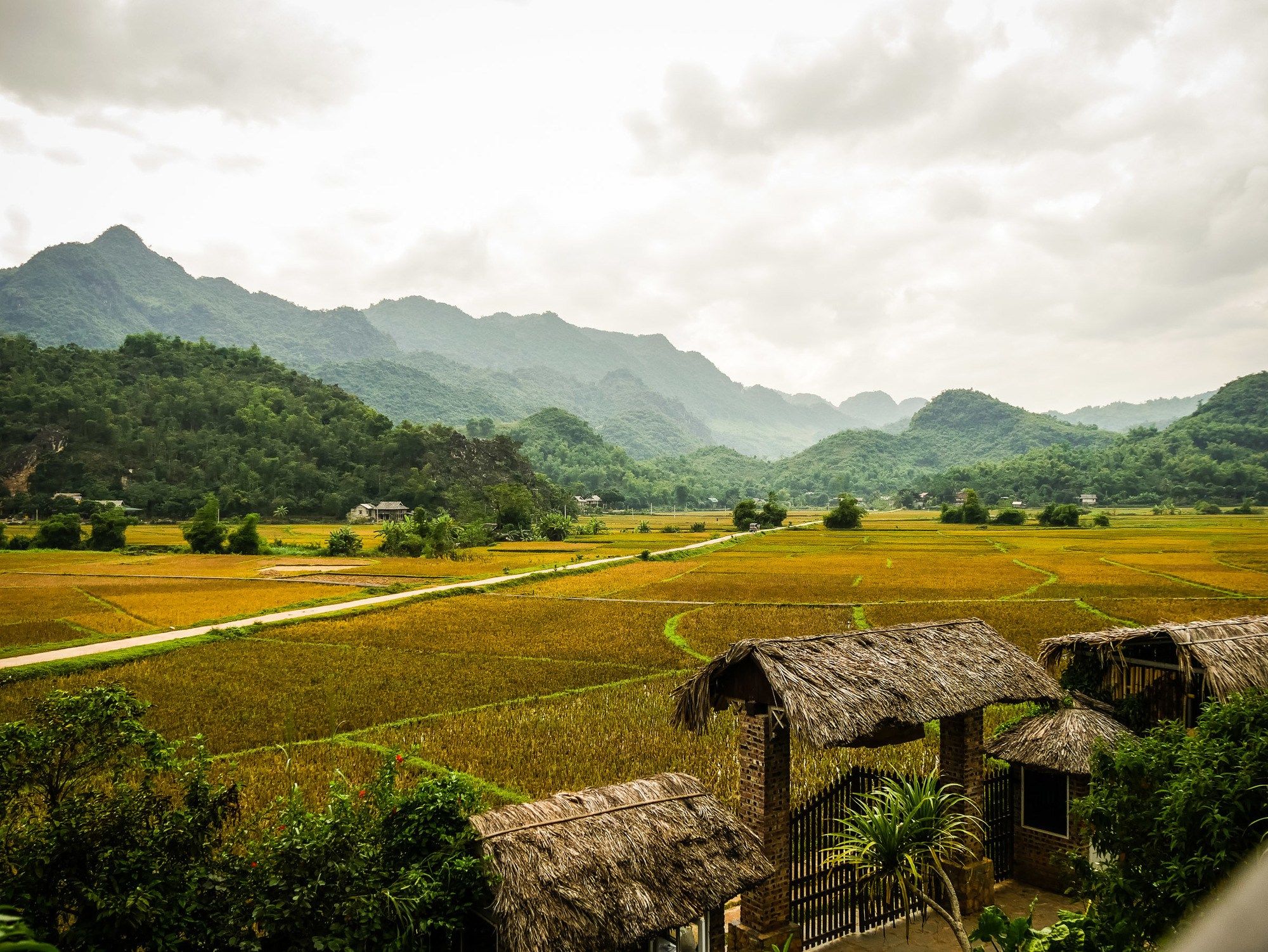 Northern Vietnam in depth 10 days 