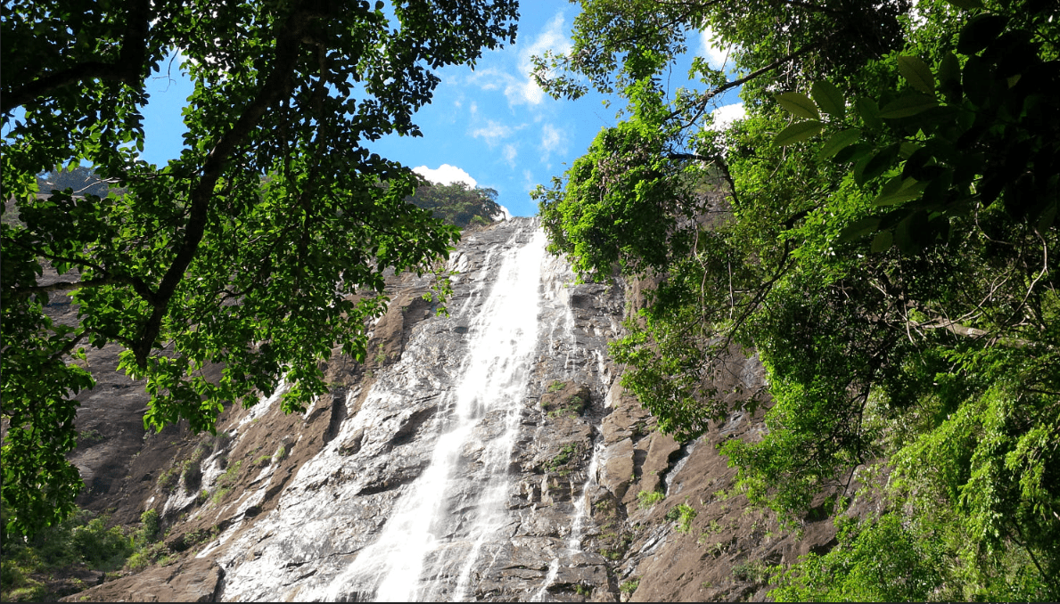 Indochina bird watching 30 days