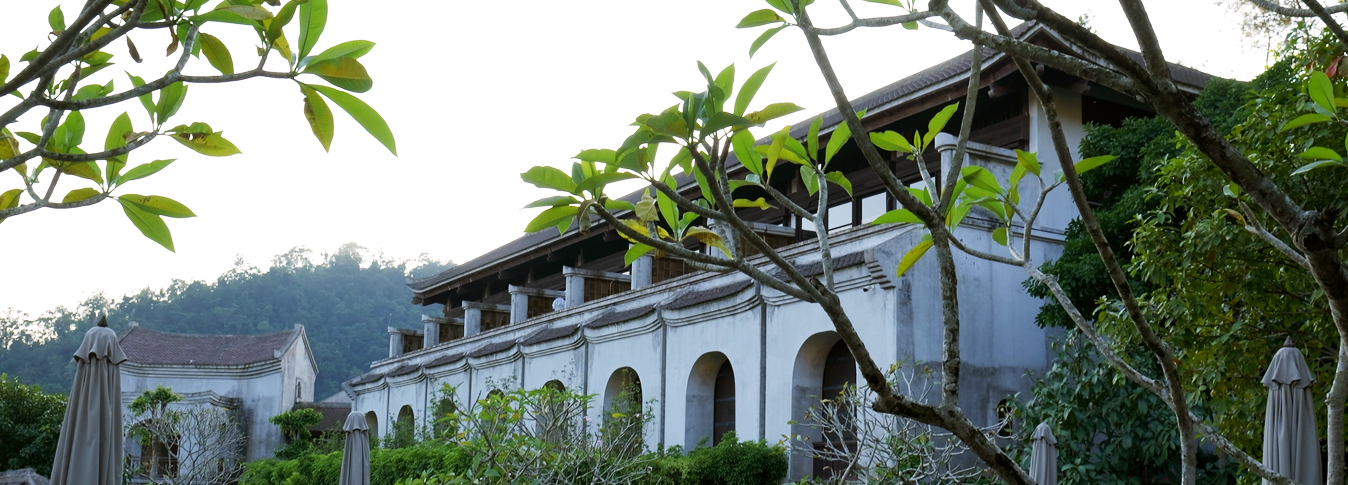 Vietnam Wellness Journey 