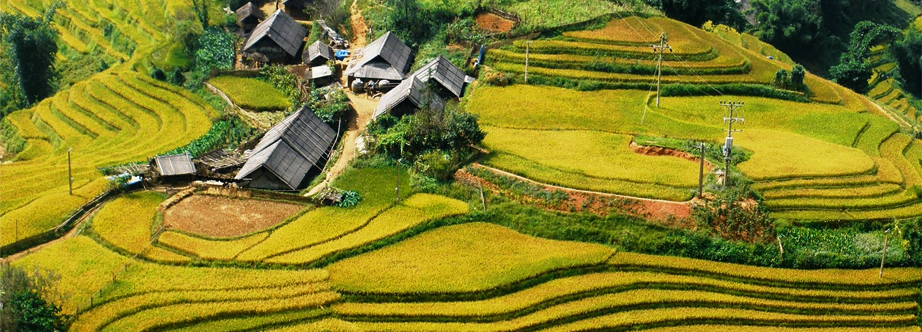 Sapa and Bac Ha Travel from Hanoi with overnight trains | Depart on every Thursday evening