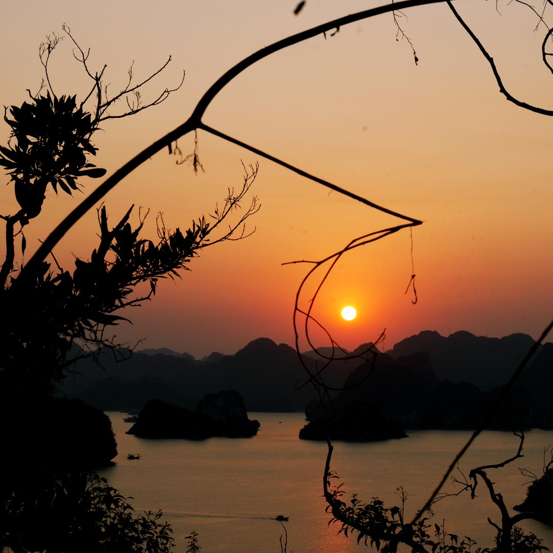 Vietnam Wellness Journey 