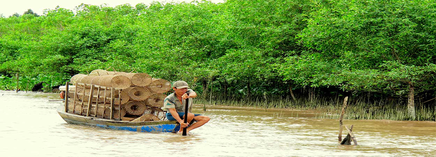 Can Gio Mangrove Forest 1 Day Escape