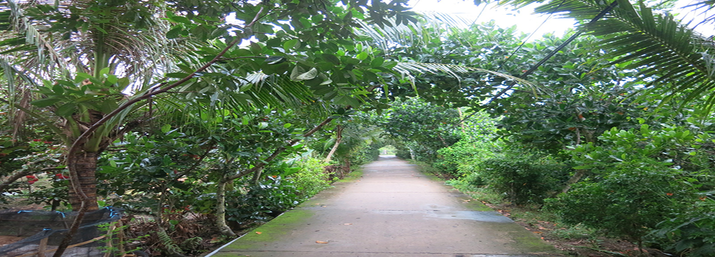 Mekong Delta 1 Day Exploration