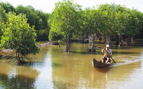 Can Gio Mangrove Forest 1 Day Escape