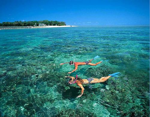 Cham Island Tour from Hoi An