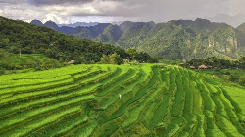 Cycling in the Northern Vietnam