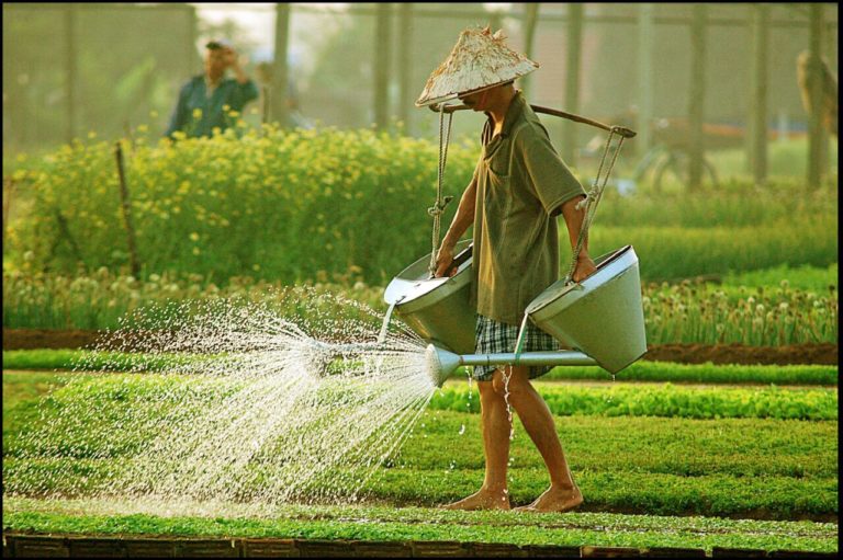 Tra-Que-Herb-Village-Hoi-An