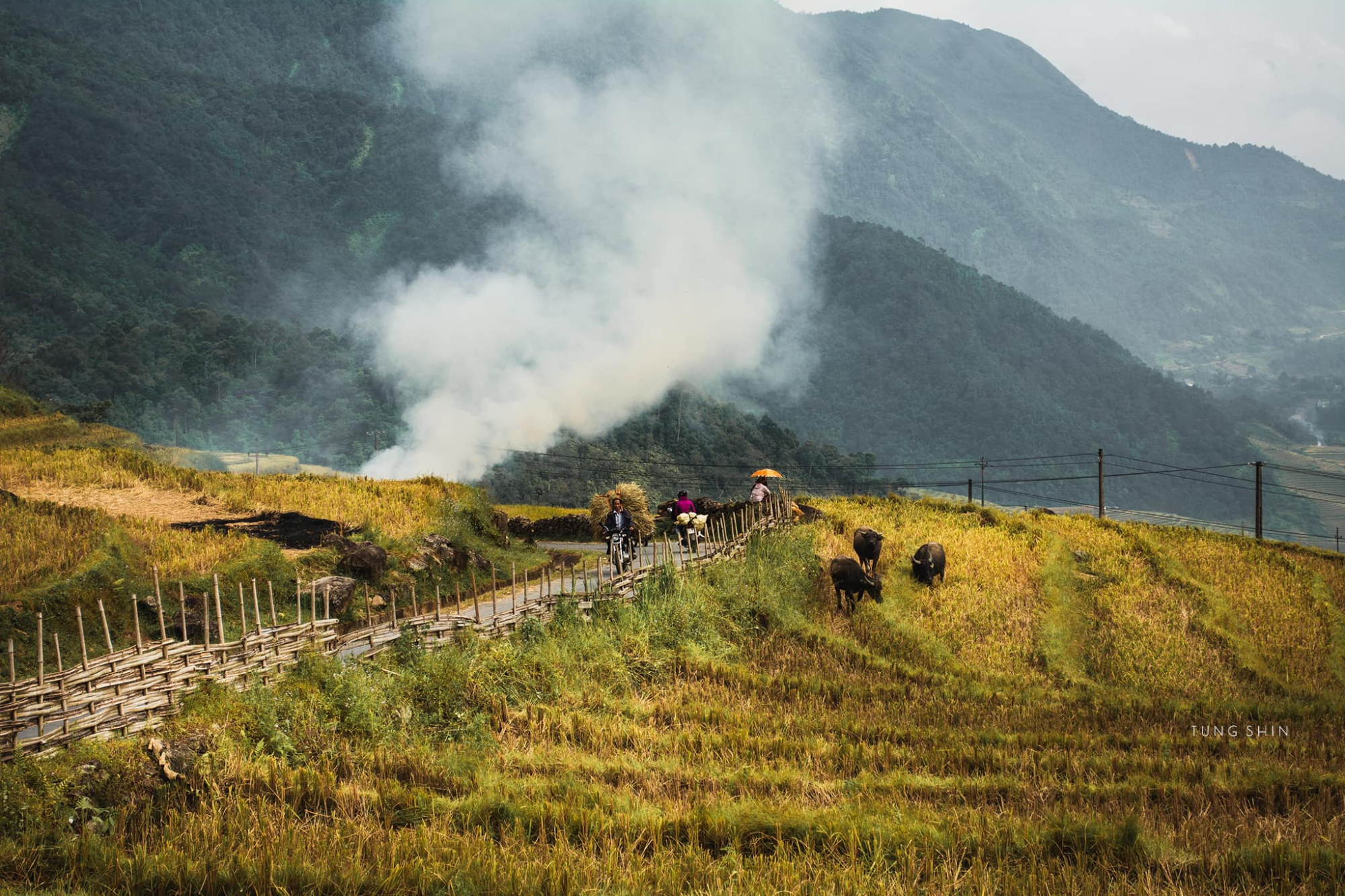 mu-cang-chai-vietnam