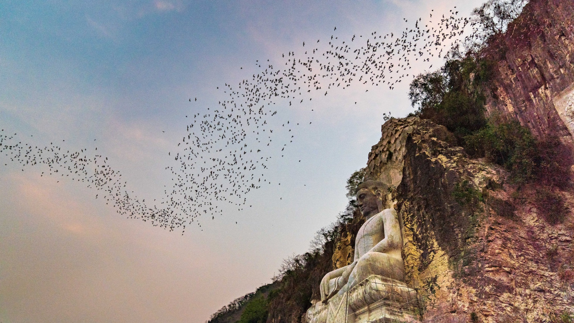 bat-cave-battambang-cambodia