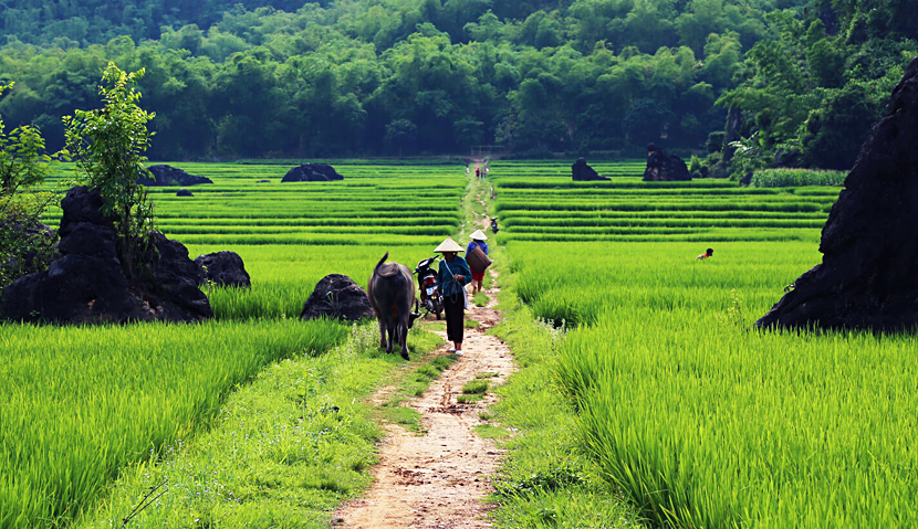 Mai-chau-vietnam