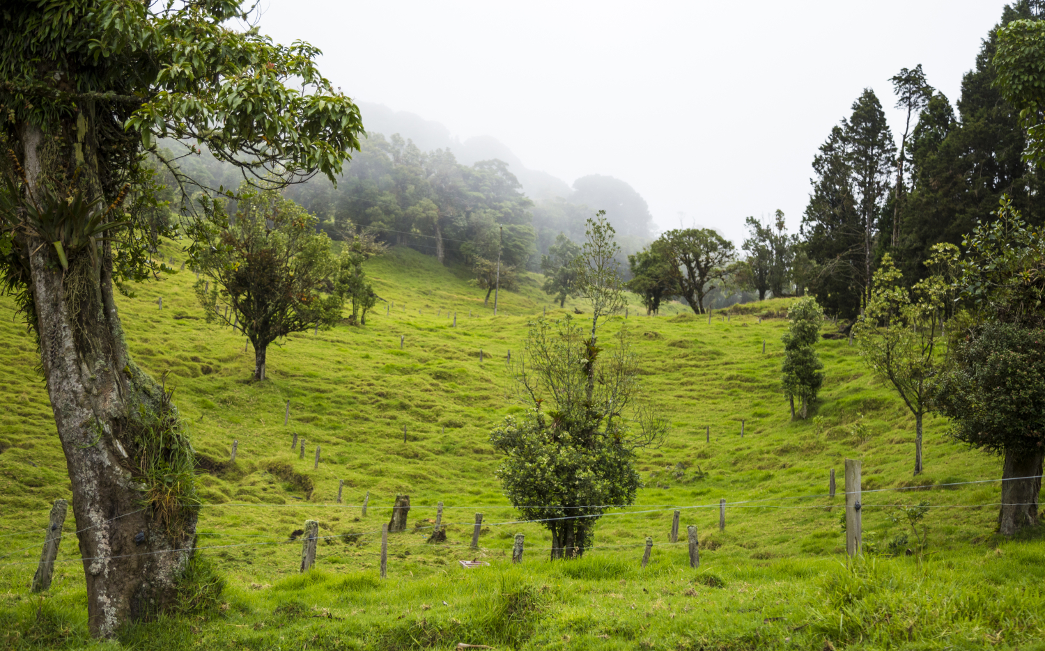 Things to do on the Bolaven Plateau in southern Laos