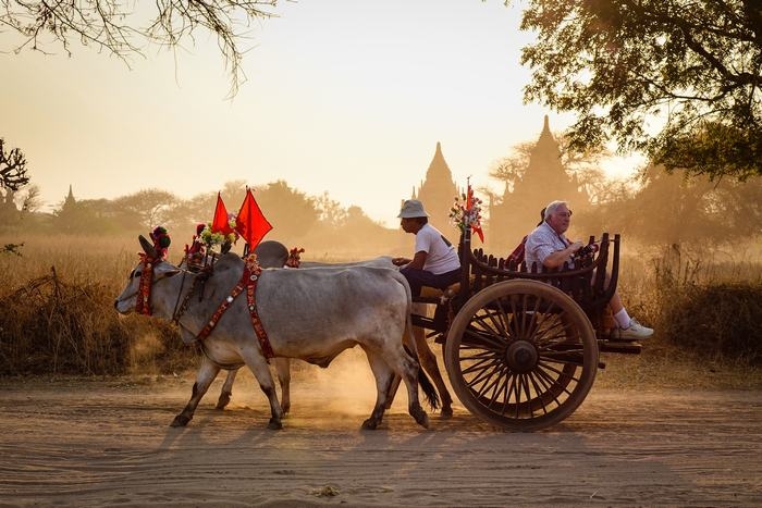 Daily Tours in Laos